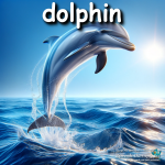 dolphin