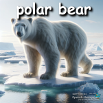 polar bear