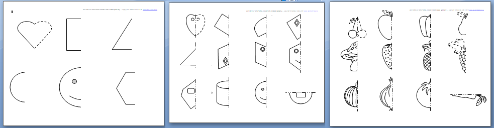 Bilateral Symmetry